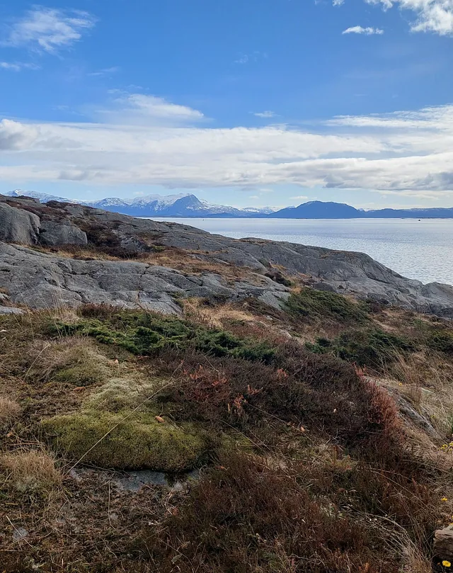 Et bilde av utsikten i Vega